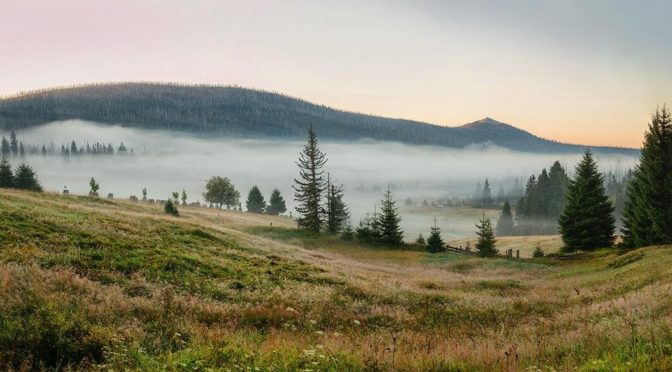 Par les près et les bois de Bohème